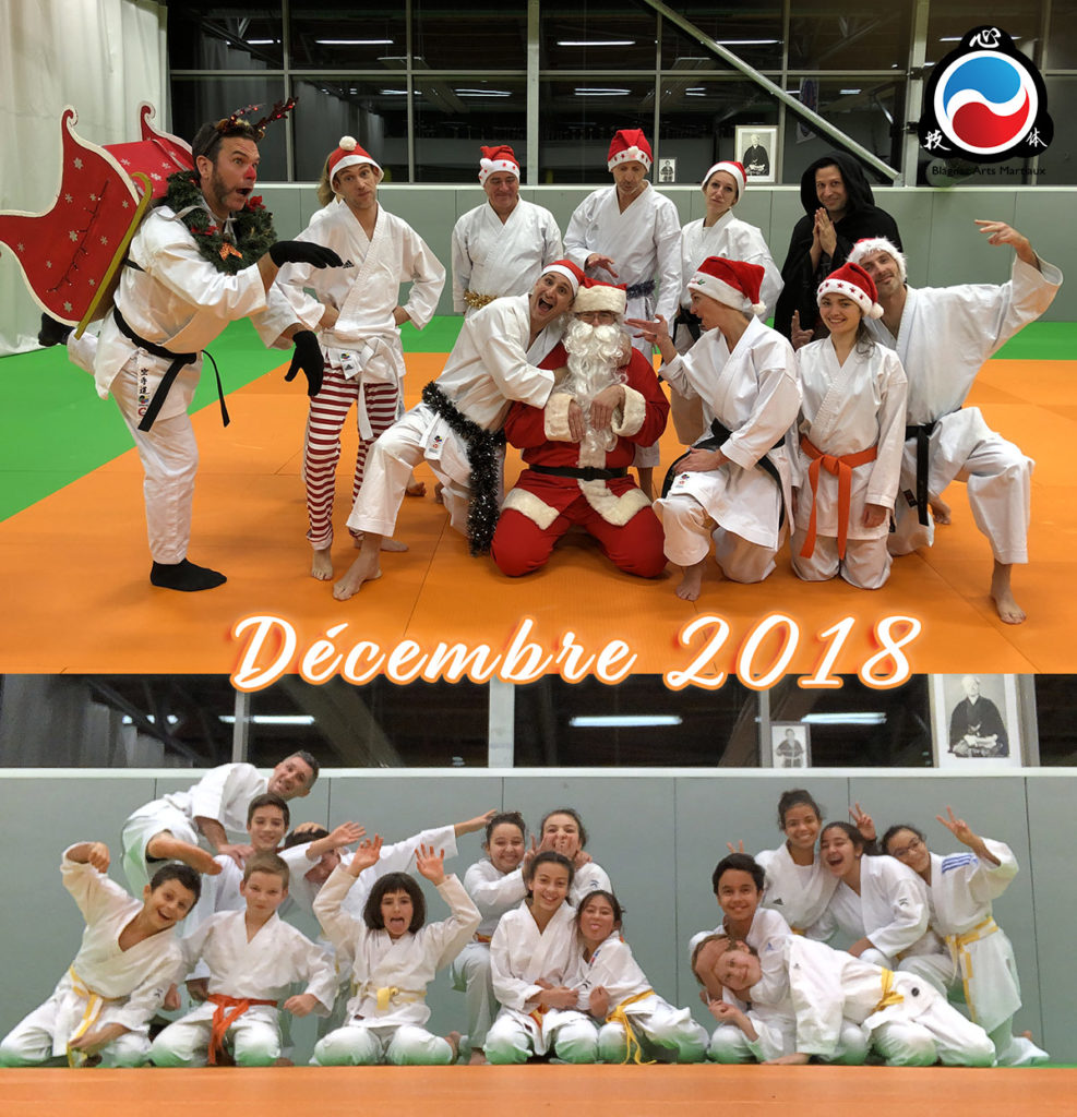 Cours de karate à Blagnac Toulouse
