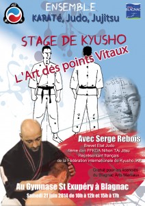 affiche-stage-kyusho-BAM