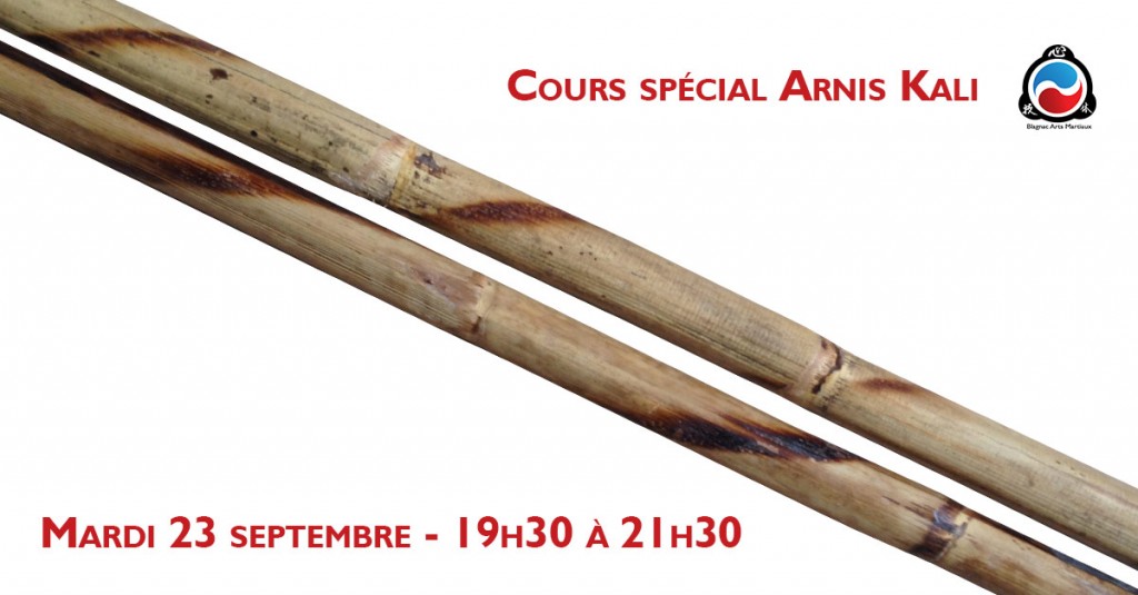 cours-arnis-kali-blagnac