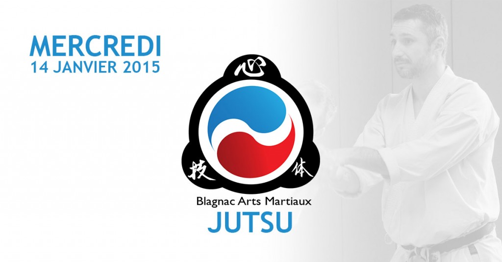 cours ju-jitsu janvier 2015 avec lionel froidure à Blagnac