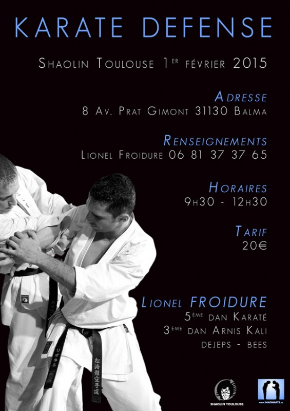 stage karate avec Lionel Froidure
