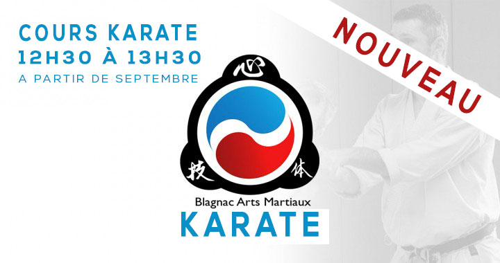 karate blagnac toulouse midi