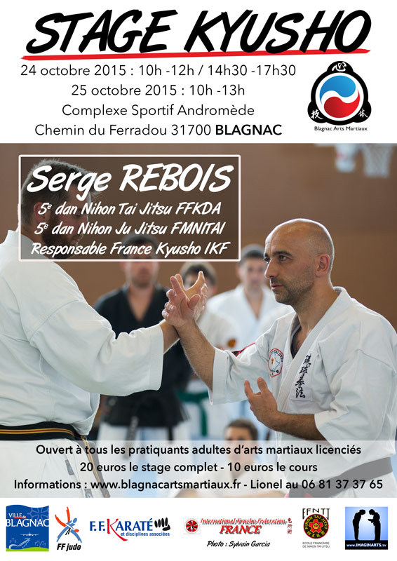 stage kyusho blagnac toulouse 2015