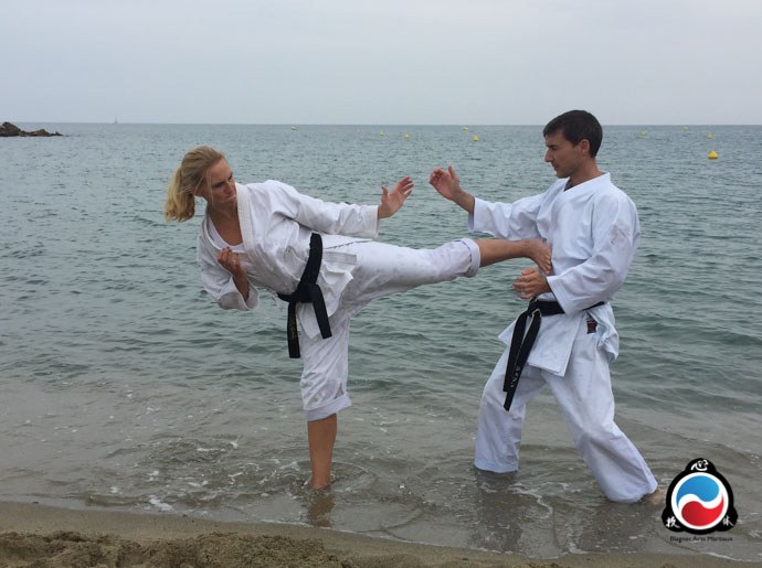 blagnac karate