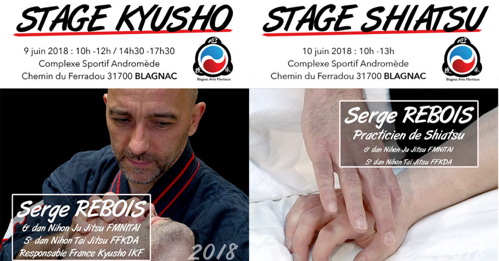 stage serge rebois kyusho shiatsu toulouse blagnac juin 2018