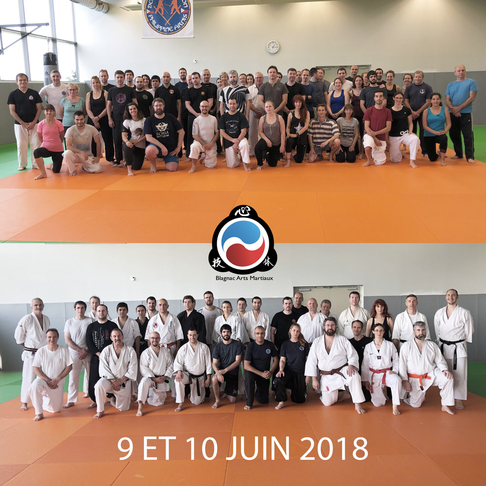 stage kyusho shiatsu serge rebois juin 2018